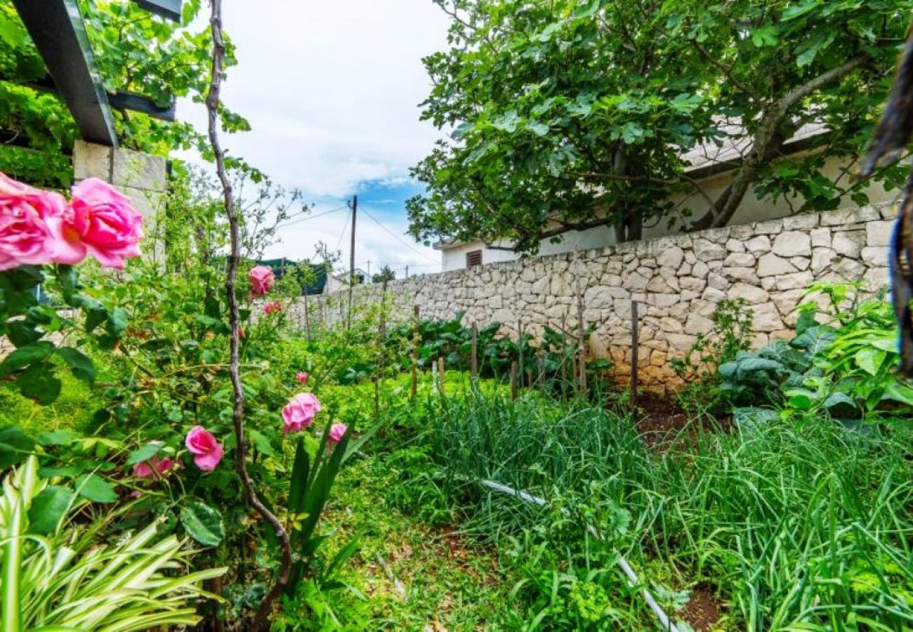 Ferienwohnung in Povlja - Ferienwohnung in Povlja mit Terrasse, Klimaanlage, W-LAN (4991-1)