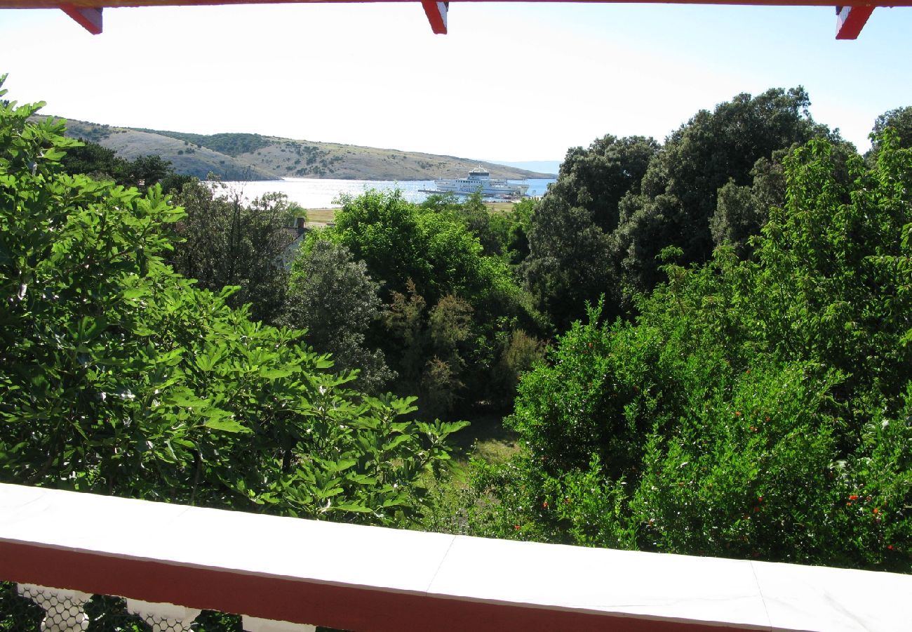 Ferienwohnung in Lopar - Ferienwohnung in Lopar mit Meerblick, Terrasse, Klimaanlage, W-LAN (4229-2)