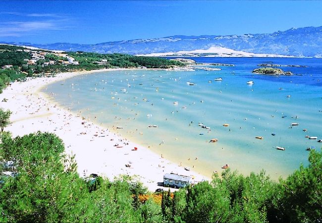 Studio in Lopar - Studioapartment in Lopar mit Klimaanlage, W-LAN (4886-5) Studio in Lopar - Studioapartment in Lopar mit Klimaanlage, W-LAN (4886-5)