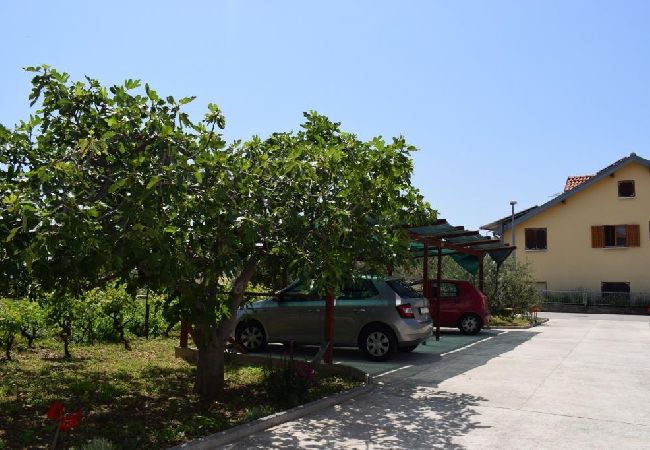 Ferienwohnung in Tribunj - Ferienwohnung in Tribunj mit Meerblick, Balkon, Klimaanlage, W-LAN (5034-2) Ferienwohnung in Tribunj - Ferienwohnung in Tribunj mit Meerblick, Balkon, Klimaanlage, W-LAN (5034-2)