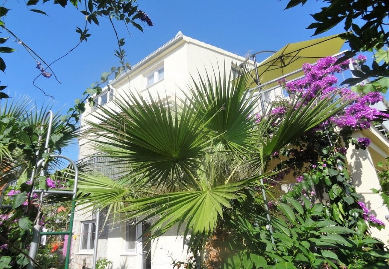 Ferienwohnung in Okrug Gornji - Ferienwohnung in Okrug Gornji mit Meerblick, Terrasse, Klimaanlage, W-LAN (5046-1)