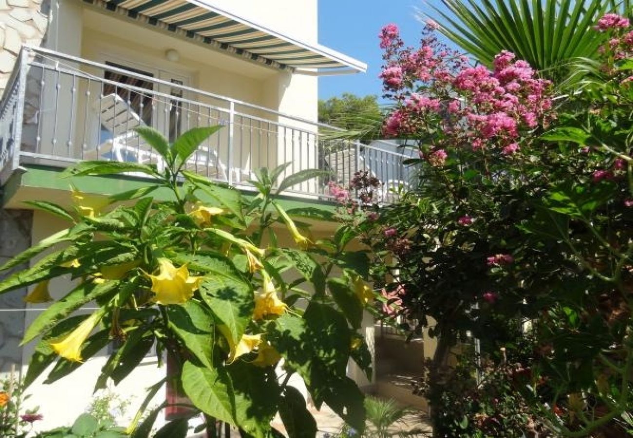 Ferienwohnung in Okrug Gornji - Ferienwohnung in Okrug Gornji mit Meerblick, Terrasse, Klimaanlage, W-LAN (5046-3)