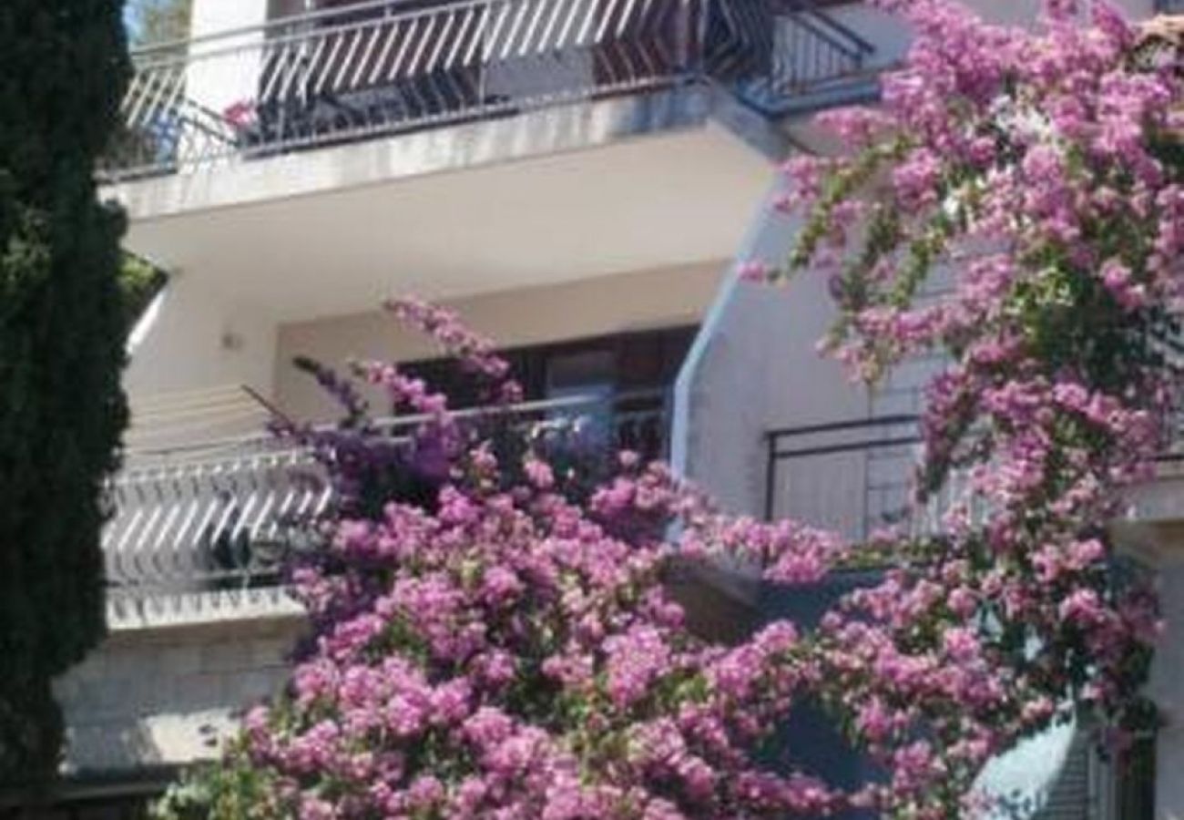 Ferienwohnung in Trogir - Ferienwohnung in Trogir mit Meerblick, Balkon, Klimaanlage, W-LAN (5055-1)