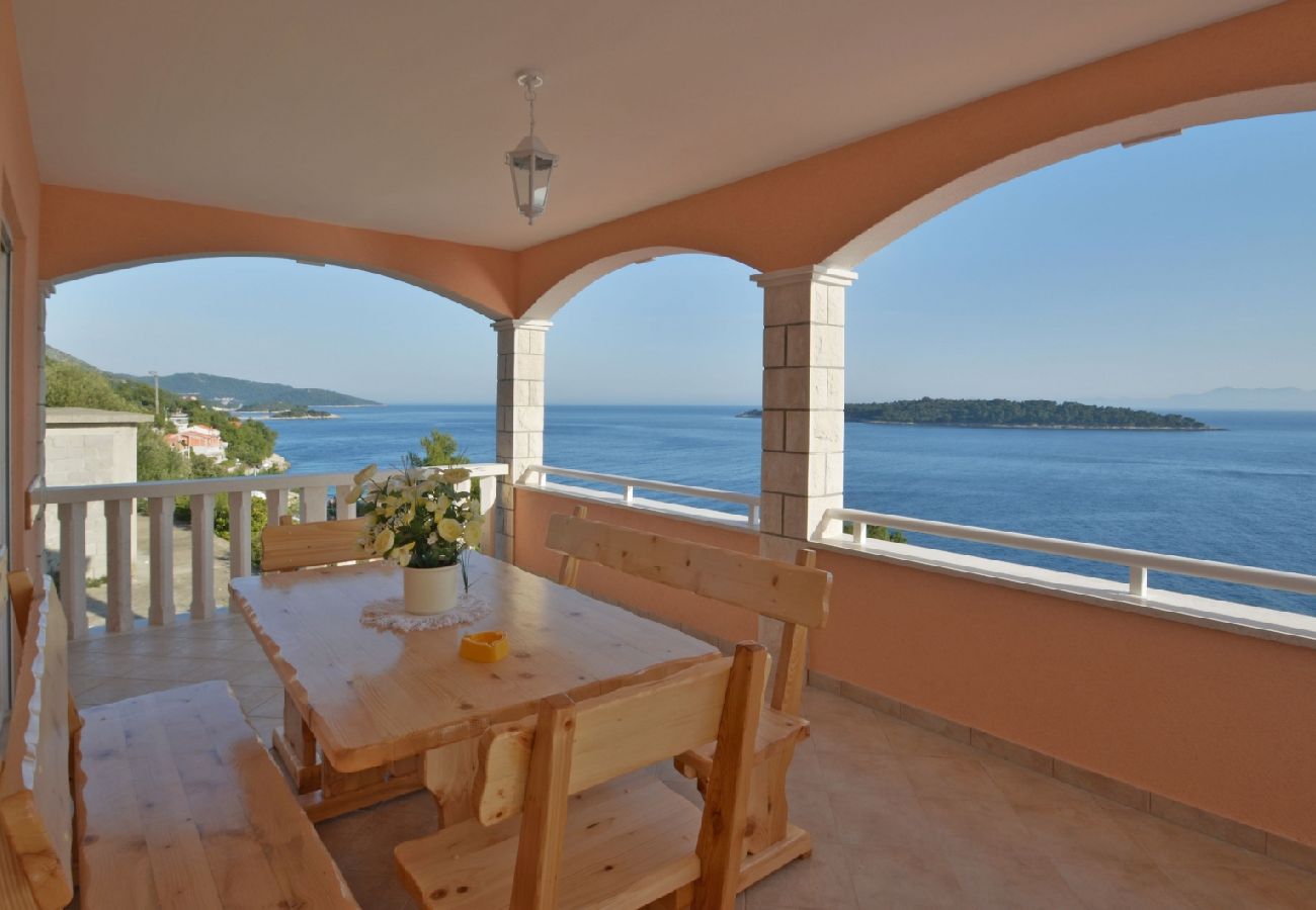 Ferienwohnung in Prizba - Ferienwohnung in Prižba mit Meerblick, Terrasse, Klimaanlage, W-LAN (5080-3)