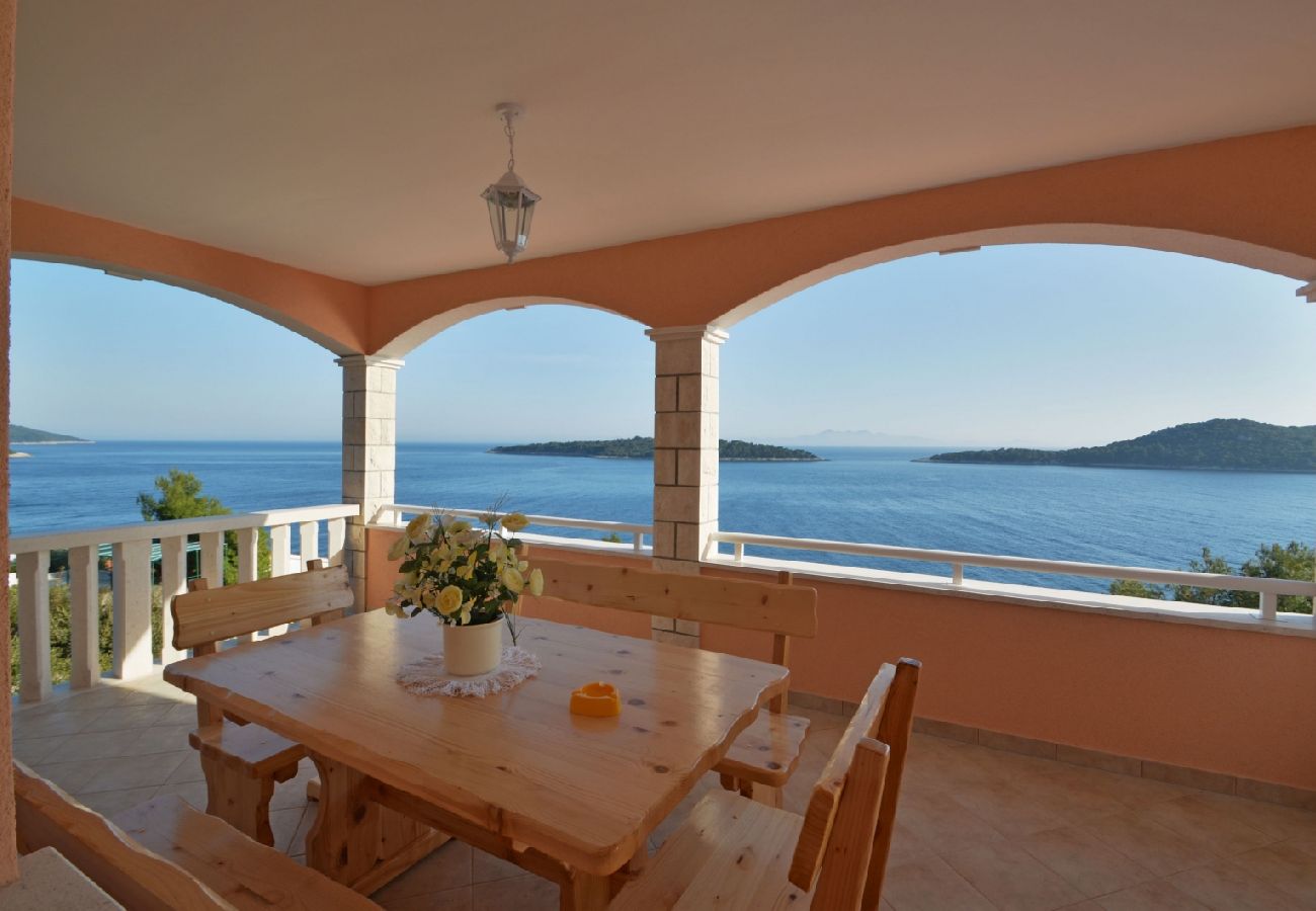 Ferienwohnung in Prizba - Ferienwohnung in Prižba mit Meerblick, Terrasse, Klimaanlage, W-LAN (5080-3)