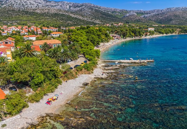 Ferienwohnung in Orebic - Ferienwohnung in Orebić mit Meerblick, Terrasse, Klimaanlage, W-LAN (4202-5) Ferienwohnung in Orebic - Ferienwohnung in Orebić mit Meerblick, Terrasse, Klimaanlage, W-LAN (4202-5)
