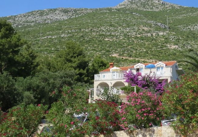 Studio in Orebic - Studioapartment in Orebić mit Meerblick, Terrasse, Klimaanlage, W-LAN (4202-3) Studio in Orebic - Studioapartment in Orebić mit Meerblick, Terrasse, Klimaanlage, W-LAN (4202-3)
