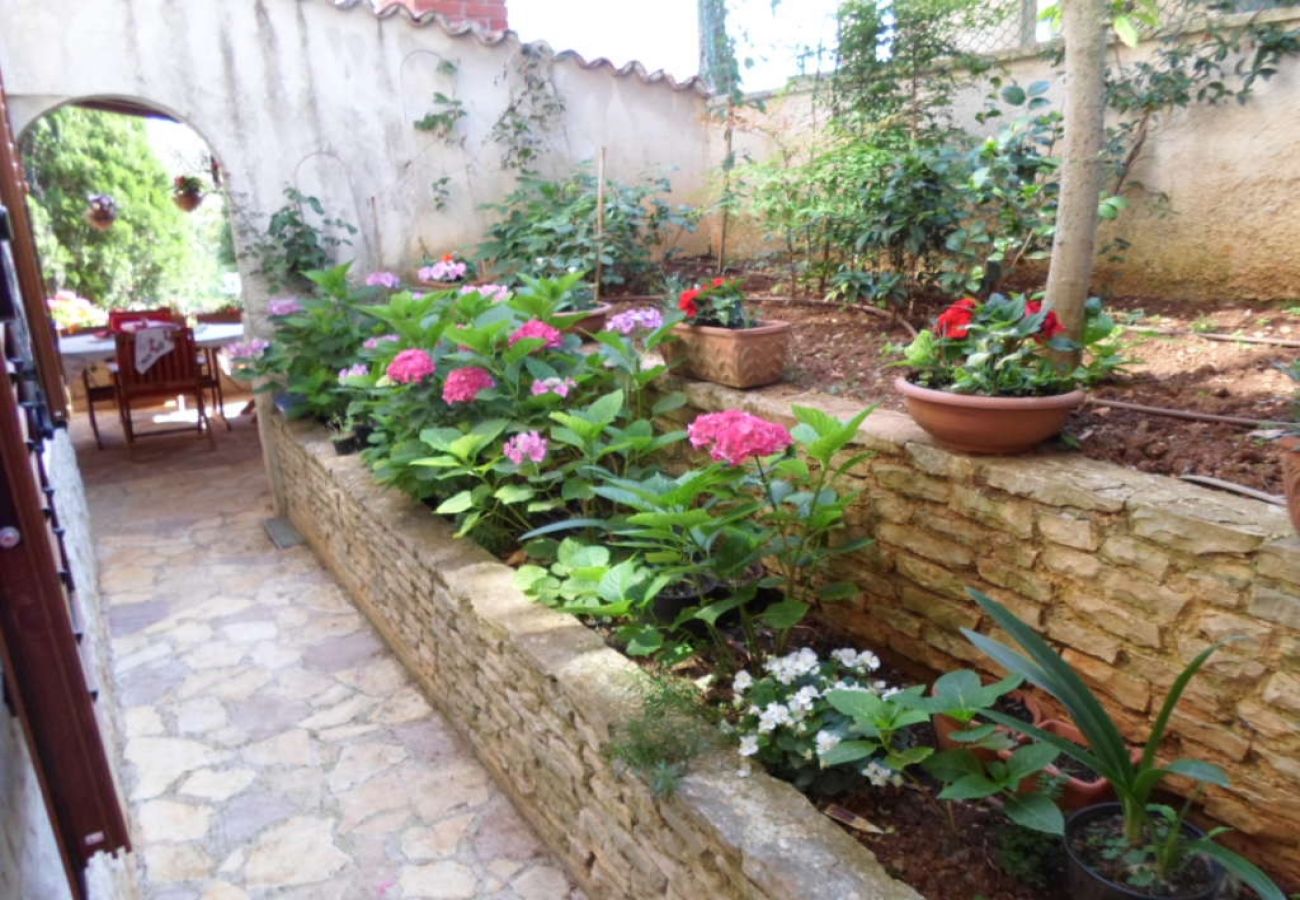 Ferienwohnung in Banjole - Ferienwohnung in Banjole mit Terrasse, Klimaanlage, W-LAN, Waschmaschine (3360-3)