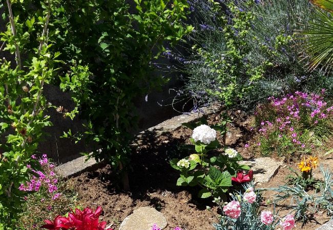 Ferienwohnung in Lopar - Ferienwohnung in Lopar mit Meerblick, Terrasse, Klimaanlage, W-LAN (3719-1) Ferienwohnung in Lopar - Ferienwohnung in Lopar mit Meerblick, Terrasse, Klimaanlage, W-LAN (3719-1)