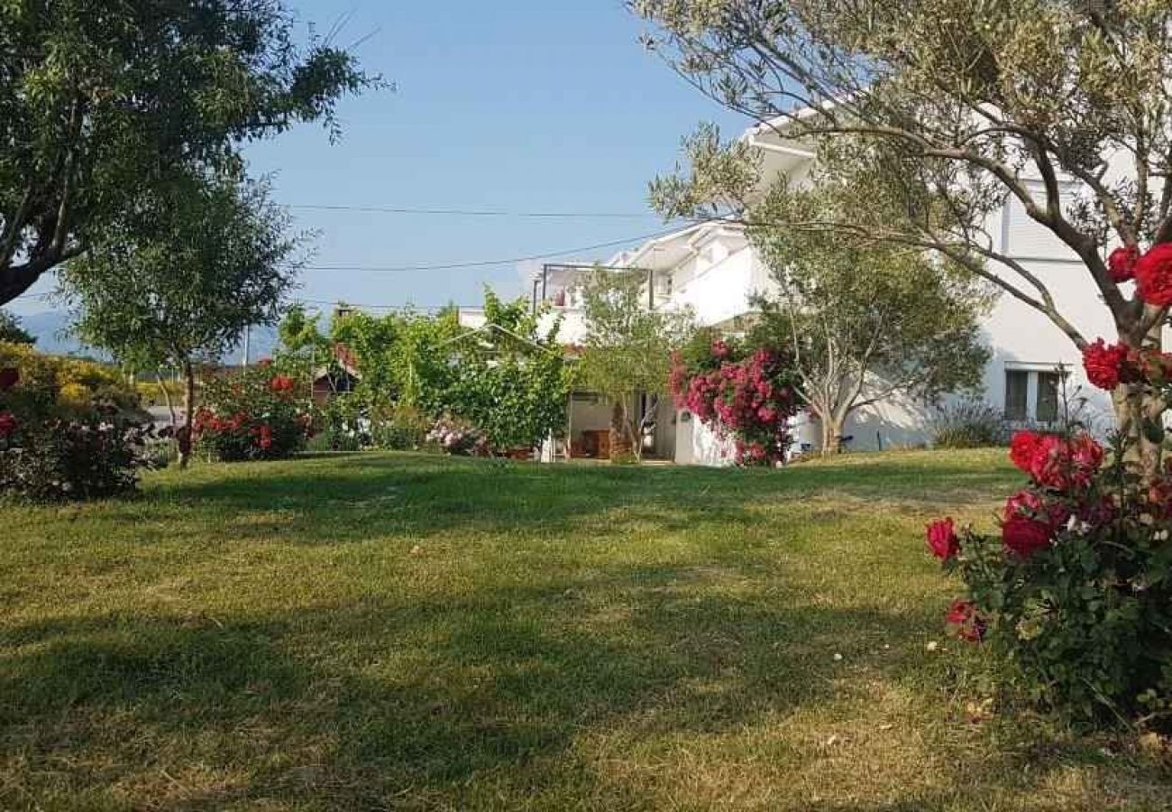 Ferienwohnung in Ljubac - Ferienwohnung in Ljubač mit Meerblick, Balkon, Klimaanlage, W-LAN (809-2)