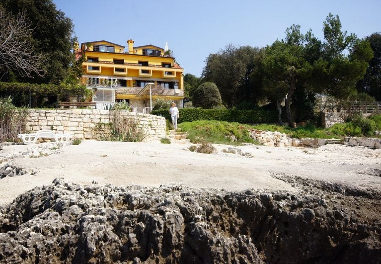 Zimmeranmietung in Rovinj - Zimmer in Rovinj mit Meerblick, Balkon, Klimaanlage, W-LAN (81-2)