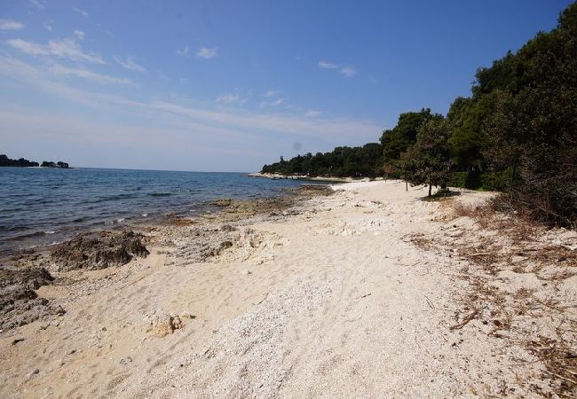 Zimmeranmietung in Rovinj - Zimmer in Rovinj mit Meerblick, Balkon, Klimaanlage, W-LAN (81-1) Zimmeranmietung in Rovinj - Zimmer in Rovinj mit Meerblick, Balkon, Klimaanlage, W-LAN (81-1)