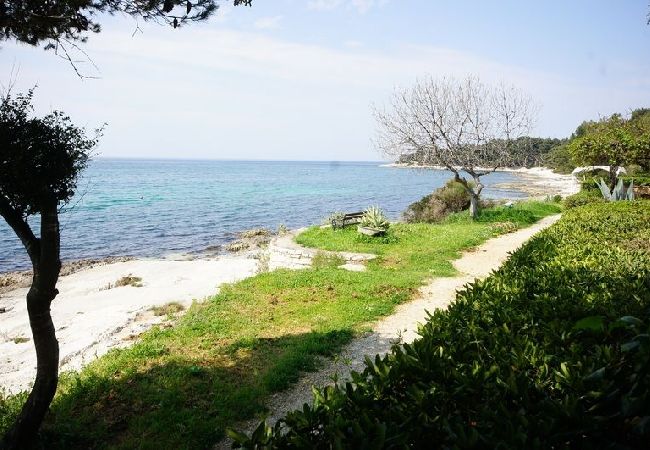 Zimmeranmietung in Rovinj - Zimmer in Rovinj mit Meerblick, Balkon, Klimaanlage, W-LAN (81-1) Zimmeranmietung in Rovinj - Zimmer in Rovinj mit Meerblick, Balkon, Klimaanlage, W-LAN (81-1)