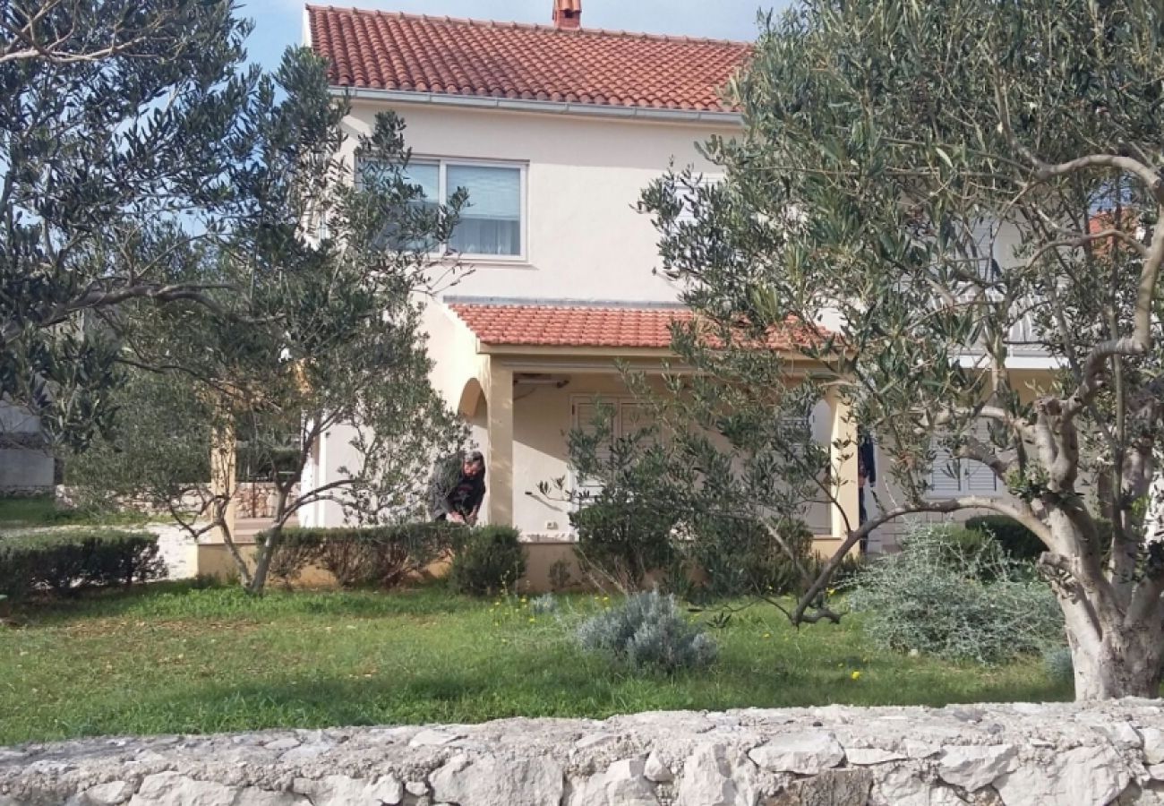 Ferienwohnung in Vinišce - Ferienwohnung in Vinišće mit Meerblick, Terrasse, Klimaanlage, W-LAN (4752-1)