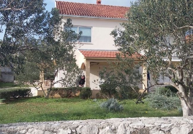 Ferienwohnung in Vinišce - Ferienwohnung in Vinišće mit Meerblick, Balkon, Klimaanlage, W-LAN (4752-2) Ferienwohnung in Vinišce - Ferienwohnung in Vinišće mit Meerblick, Balkon, Klimaanlage, W-LAN (4752-2)