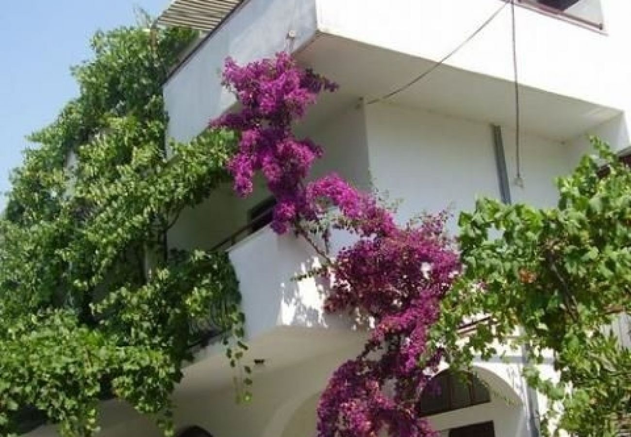 Ferienwohnung in Okrug Gornji - Ferienwohnung in Okrug Gornji mit Meerblick, Balkon, Klimaanlage, W-LAN (5106-2)