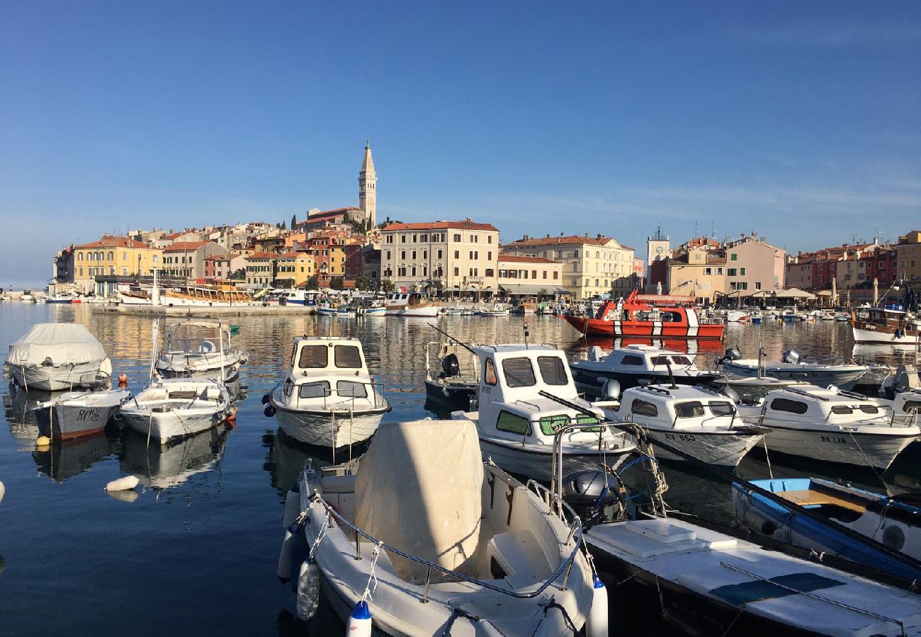 Ferienwohnung in Rovinj - Ferienwohnung in Rovinj mit Balkon, Klimaanlage, W-LAN, Waschmaschine (5116-2)