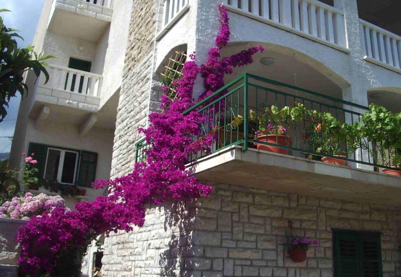 Ferienwohnung in Bol - Ferienwohnung in Bol mit Meerblick, Terrasse, Klimaanlage, W-LAN (5121-3)