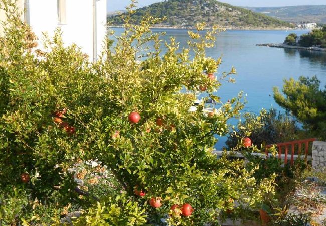 Ferienwohnung in Ražanj - Ferienwohnung in Ražanj mit Meerblick, Terrasse, Klimaanlage, W-LAN (5150-1) Ferienwohnung in Ražanj - Ferienwohnung in Ražanj mit Meerblick, Terrasse, Klimaanlage, W-LAN (5150-1)