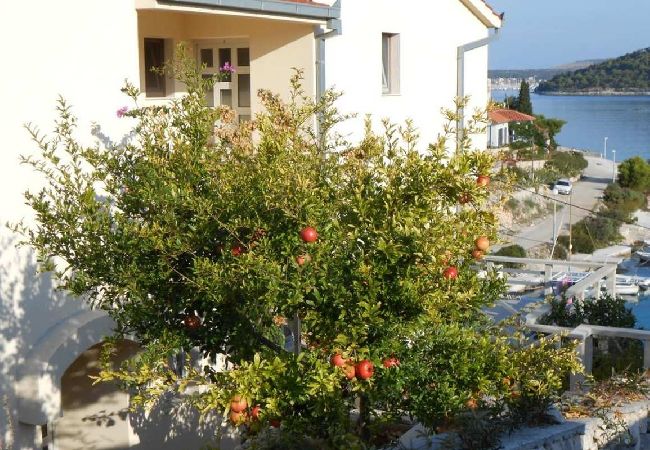 Ferienwohnung in Ražanj - Ferienwohnung in Ražanj mit Meerblick, Terrasse, Klimaanlage, W-LAN (5150-1) Ferienwohnung in Ražanj - Ferienwohnung in Ražanj mit Meerblick, Terrasse, Klimaanlage, W-LAN (5150-1)