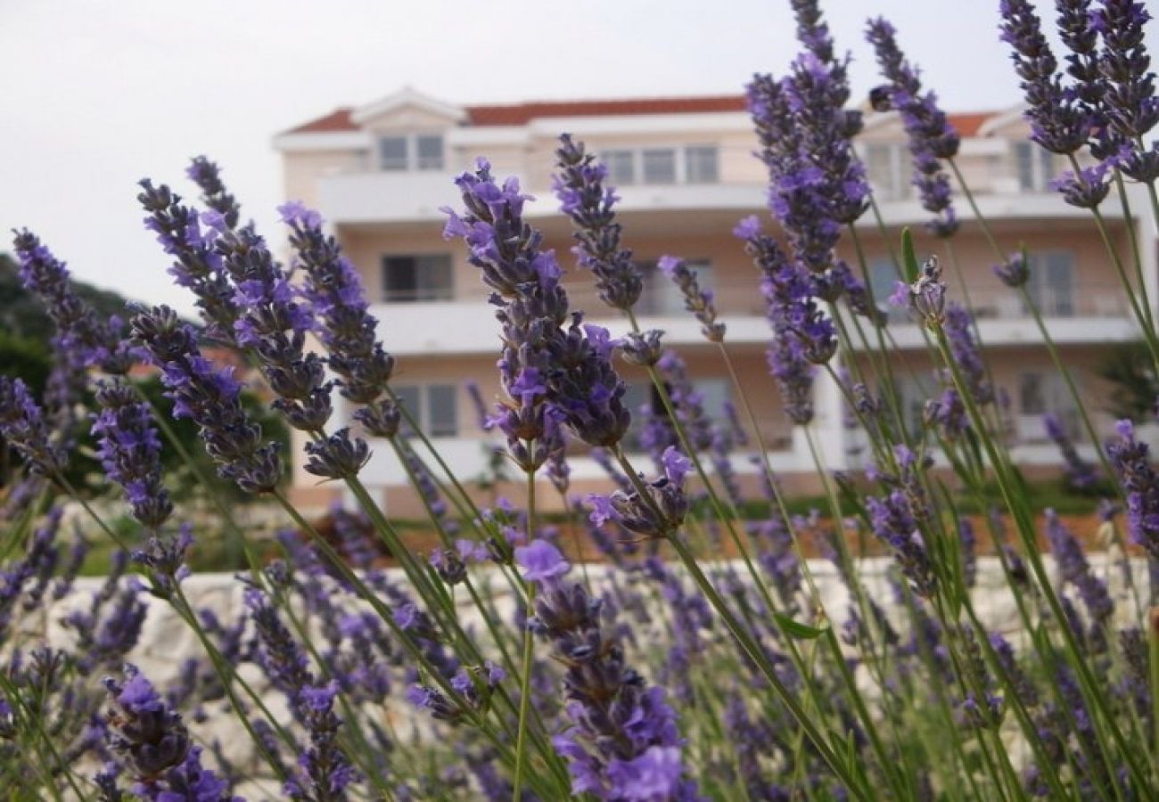 Ferienwohnung in Seget Vranjica - Ferienwohnung in Seget Vranjica mit Meerblick, Terrasse, Klimaanlage, W-LAN (5181-4)