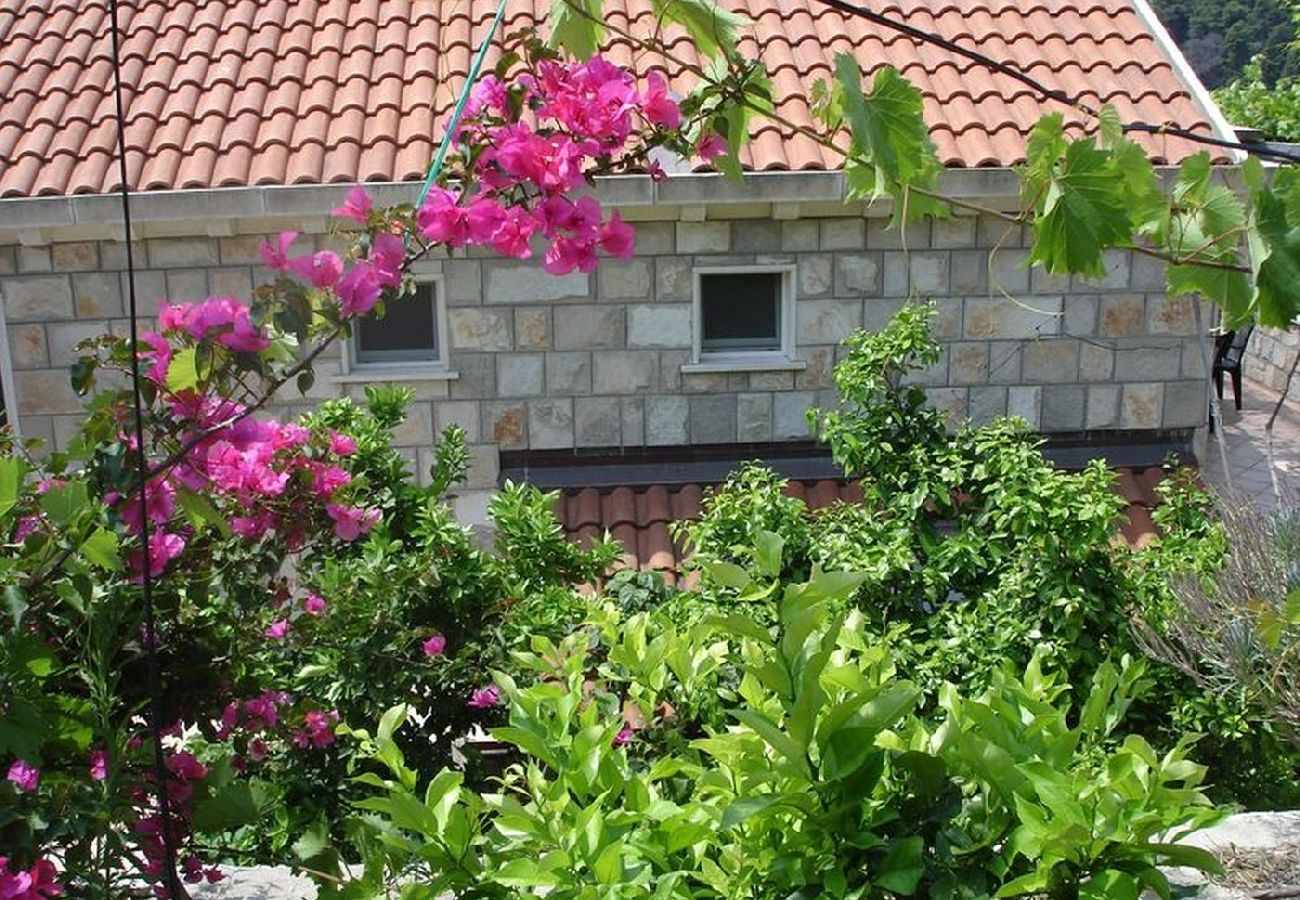 Ferienwohnung in Saplunara - Ferienwohnung in Saplunara mit Meerblick, Terrasse, Klimaanlage, W-LAN (5197-5)