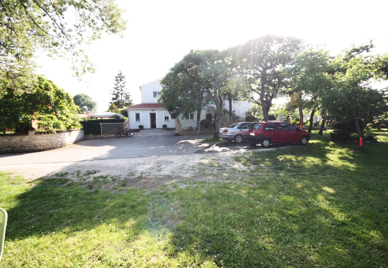 Ferienwohnung in Vrvari - Ferienwohnung in Vrvari 5195-1