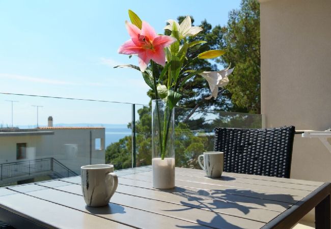 Ferienwohnung in Brela - Ferienwohnung in Brela mit Meerblick, Terrasse, Klimaanlage, W-LAN (3524-10) Ferienwohnung in Brela - Ferienwohnung in Brela mit Meerblick, Terrasse, Klimaanlage, W-LAN (3524-10)