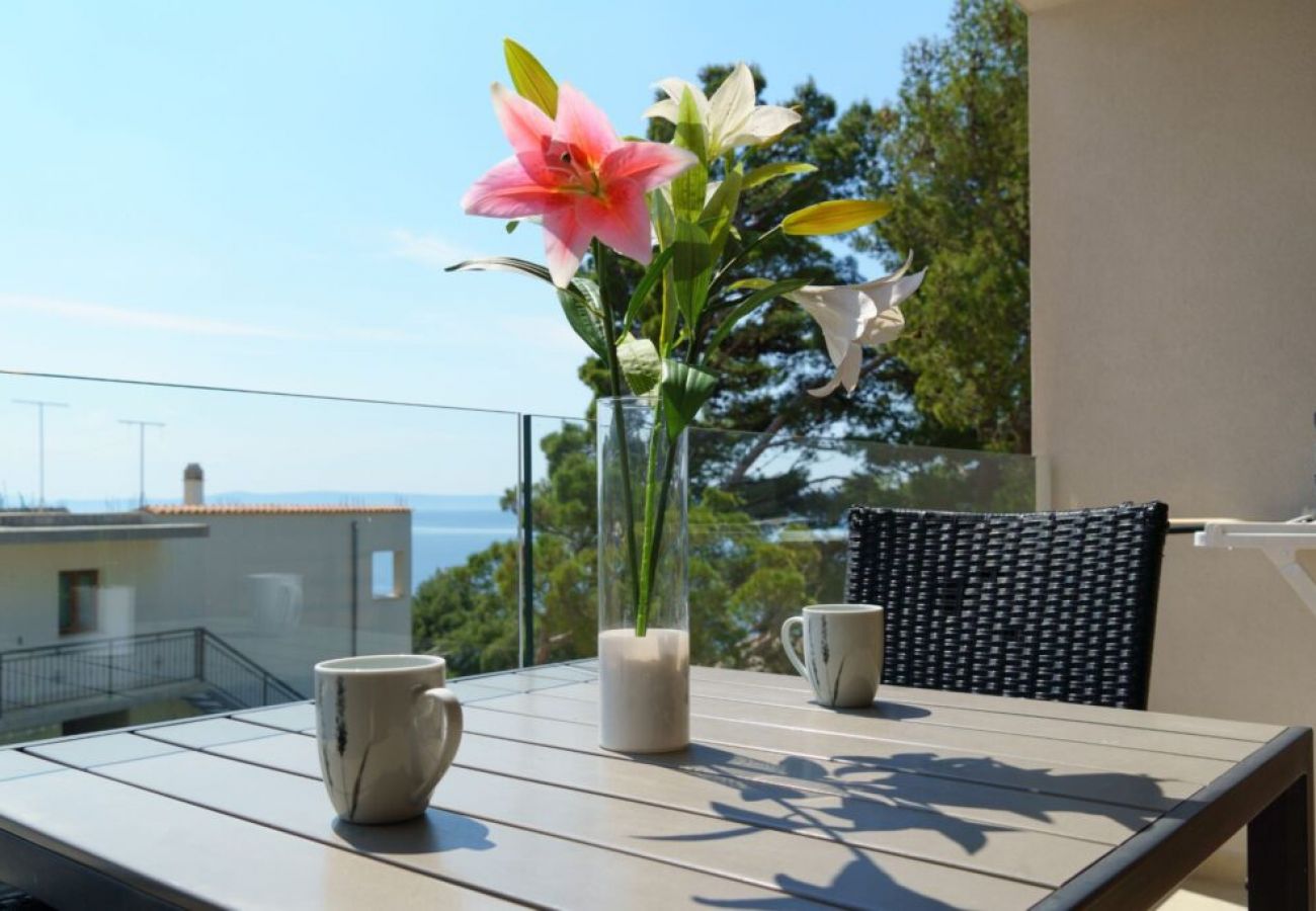 Ferienwohnung in Brela - Ferienwohnung in Brela mit Meerblick, Terrasse, Klimaanlage, W-LAN (3524-10)