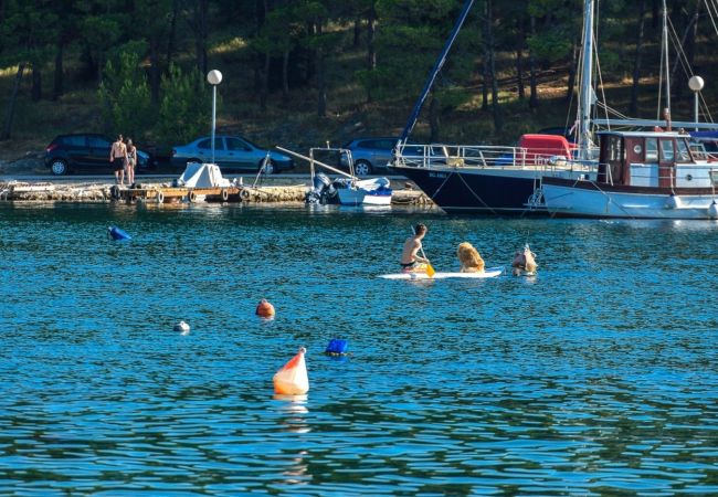 Ferienwohnung in Drage - Apartment 566-4 for 5 people in Drage Ferienwohnung in Drage - Apartment 566-4 for 5 people in Drage