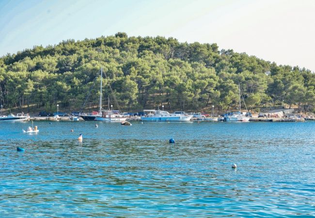 Ferienwohnung in Drage - Apartment 566-4 for 5 people in Drage Ferienwohnung in Drage - Apartment 566-4 for 5 people in Drage