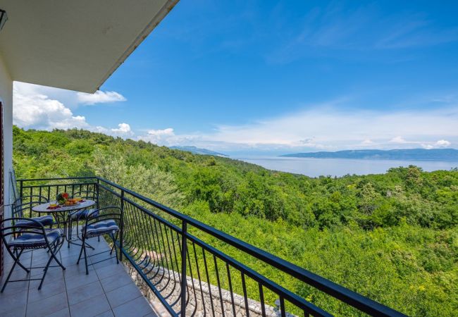 Ferienwohnung in Drenje - Ferienwohnung in Drenje mit Meerblick, Terrasse, Klimaanlage, W-LAN (5235-4) Ferienwohnung in Drenje - Ferienwohnung in Drenje mit Meerblick, Terrasse, Klimaanlage, W-LAN (5235-4)