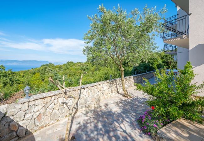 Ferienwohnung in Drenje - Ferienwohnung in Drenje mit Meerblick, Terrasse, Klimaanlage, W-LAN (5235-8) Ferienwohnung in Drenje - Ferienwohnung in Drenje mit Meerblick, Terrasse, Klimaanlage, W-LAN (5235-8)